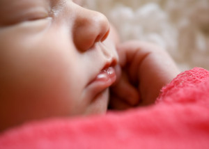 newborn girl portrait